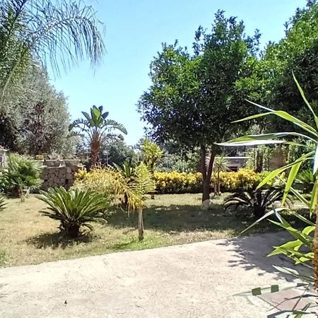 B&B Carpe Diem Domus Ischia Zewnętrze zdjęcie