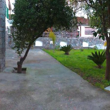 B&B Carpe Diem Domus Ischia Zewnętrze zdjęcie
