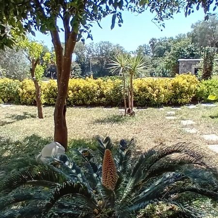 B&B Carpe Diem Domus Ischia Zewnętrze zdjęcie