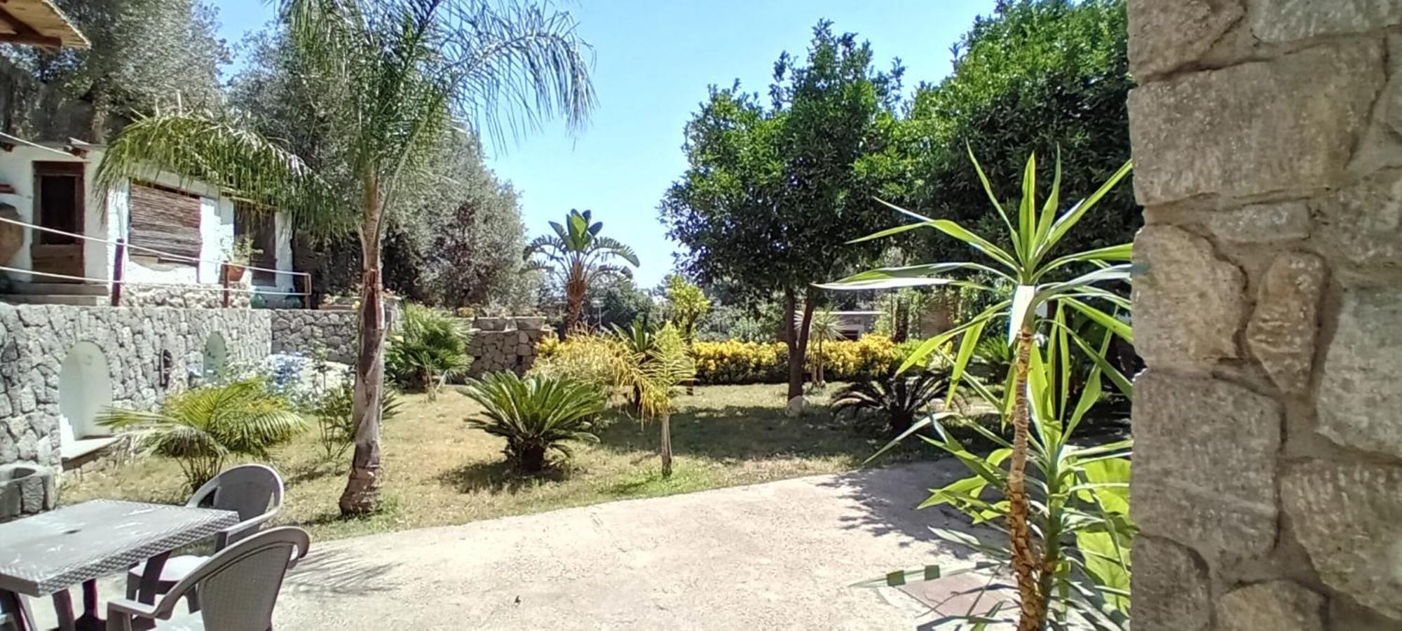 B&B Carpe Diem Domus Ischia Zewnętrze zdjęcie
